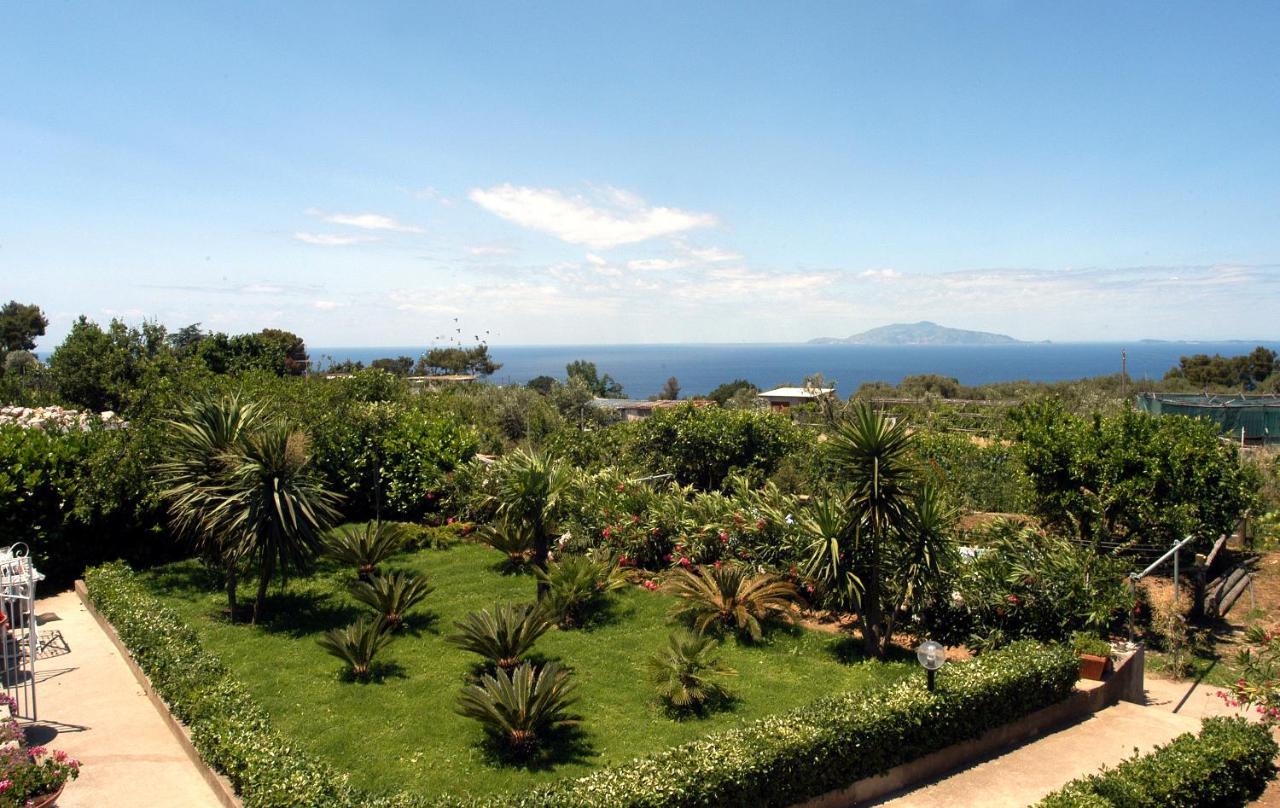 Villa Damecuta B&B Anacapri  Eksteriør bilde
