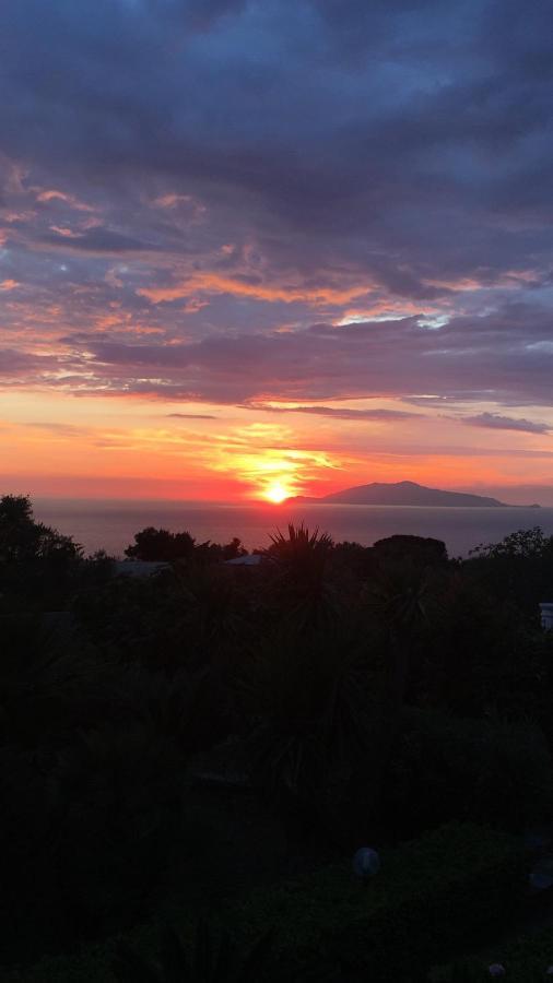 Villa Damecuta B&B Anacapri  Eksteriør bilde