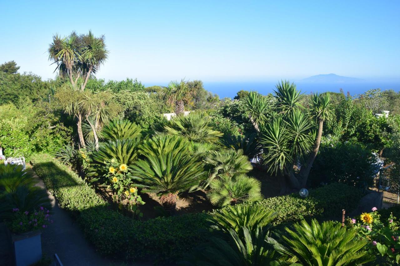 Villa Damecuta B&B Anacapri  Eksteriør bilde