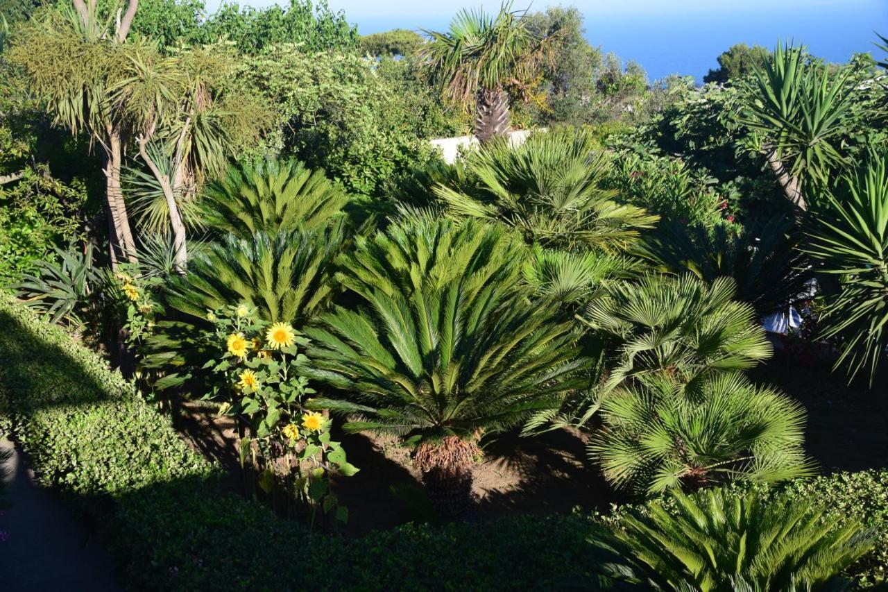 Villa Damecuta B&B Anacapri  Eksteriør bilde