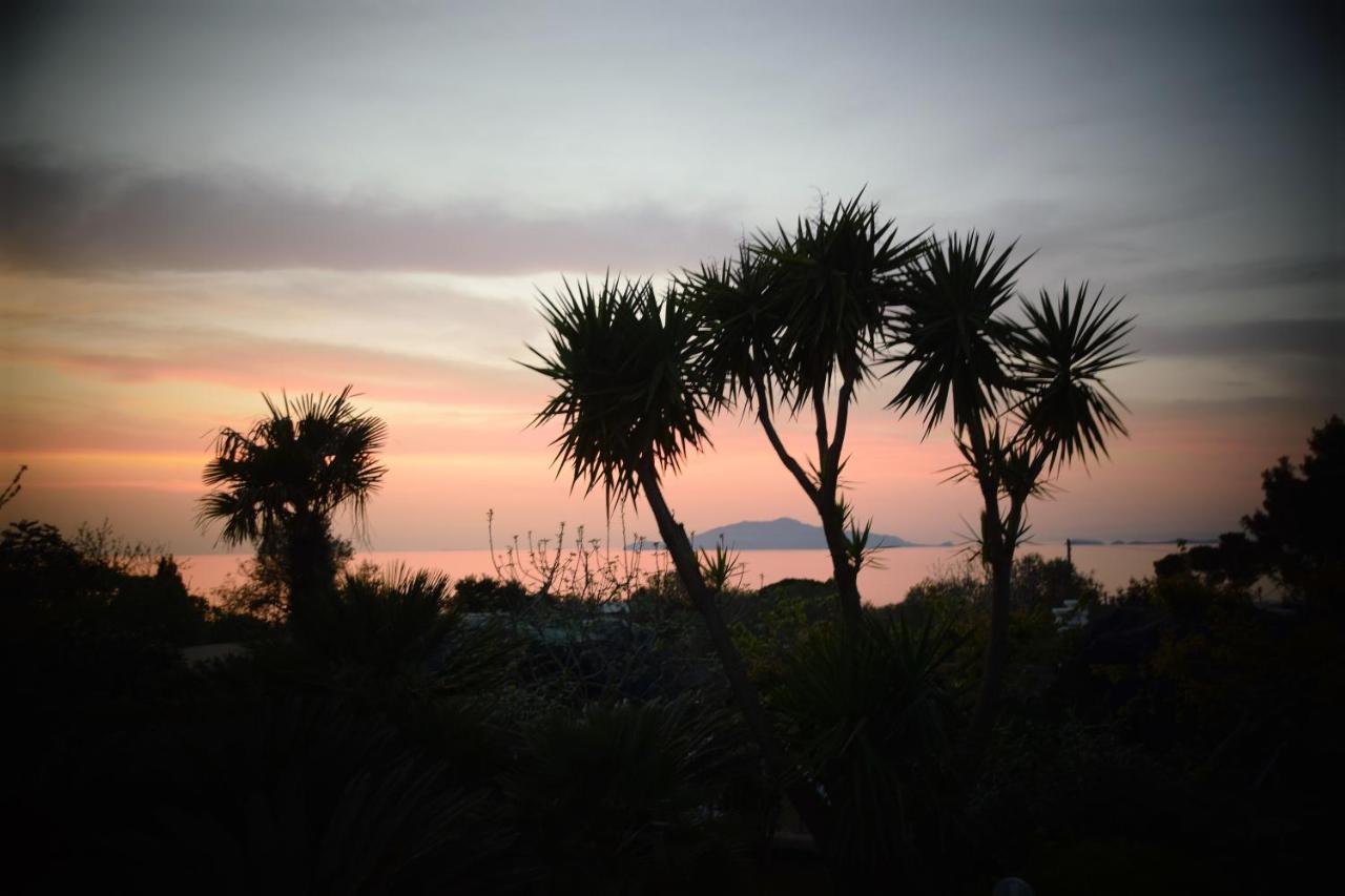 Villa Damecuta B&B Anacapri  Eksteriør bilde