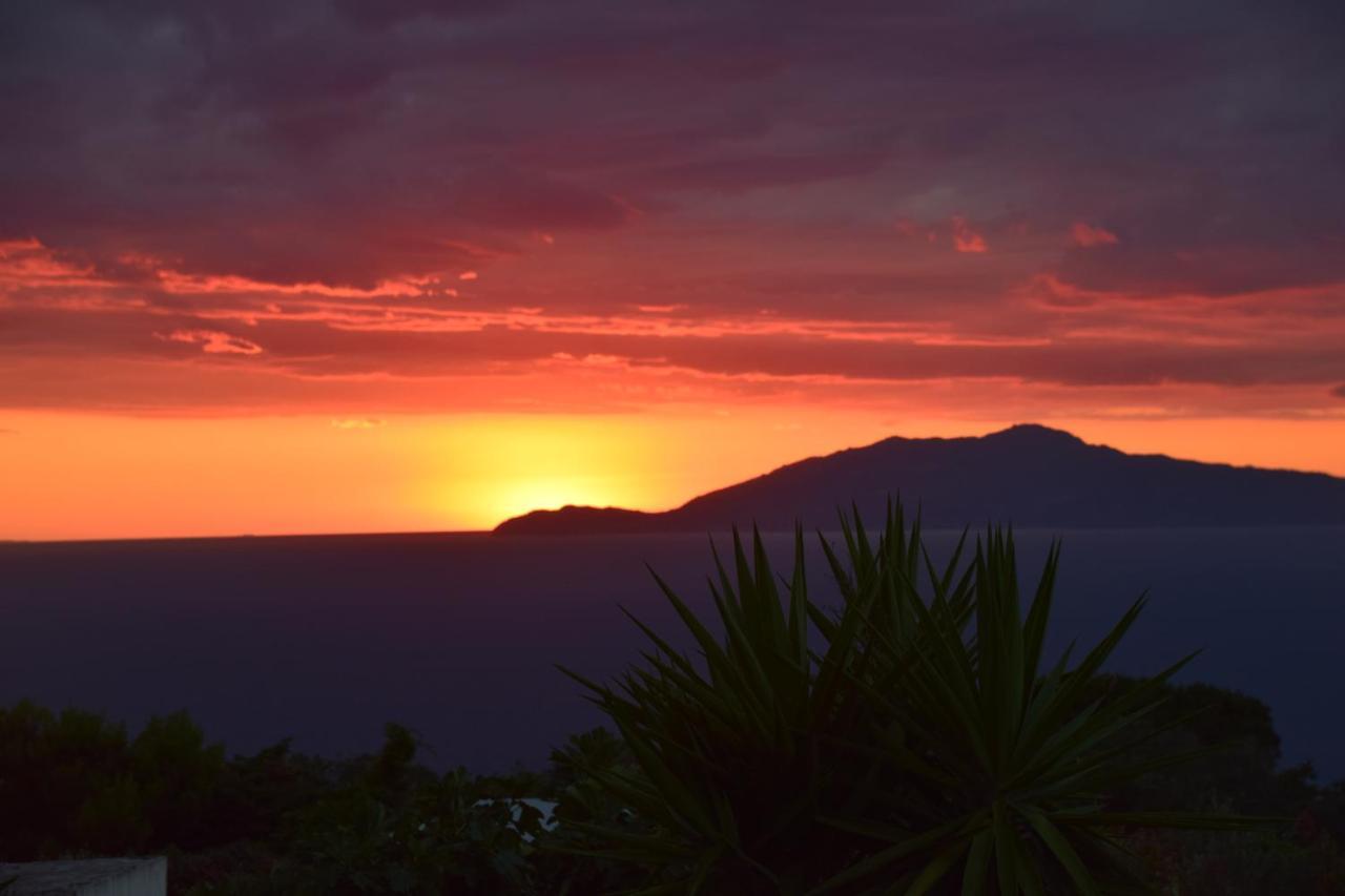 Villa Damecuta B&B Anacapri  Eksteriør bilde