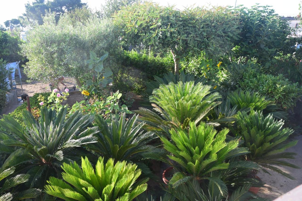 Villa Damecuta B&B Anacapri  Eksteriør bilde